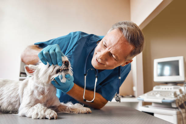  Cape Charles, VA Emergency Dentist Pros